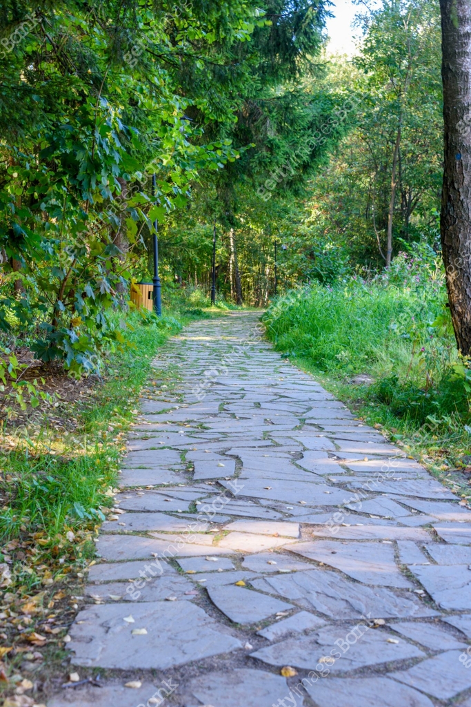 Ecological walking path made of stone floor slabs among trees. 이미지 ...