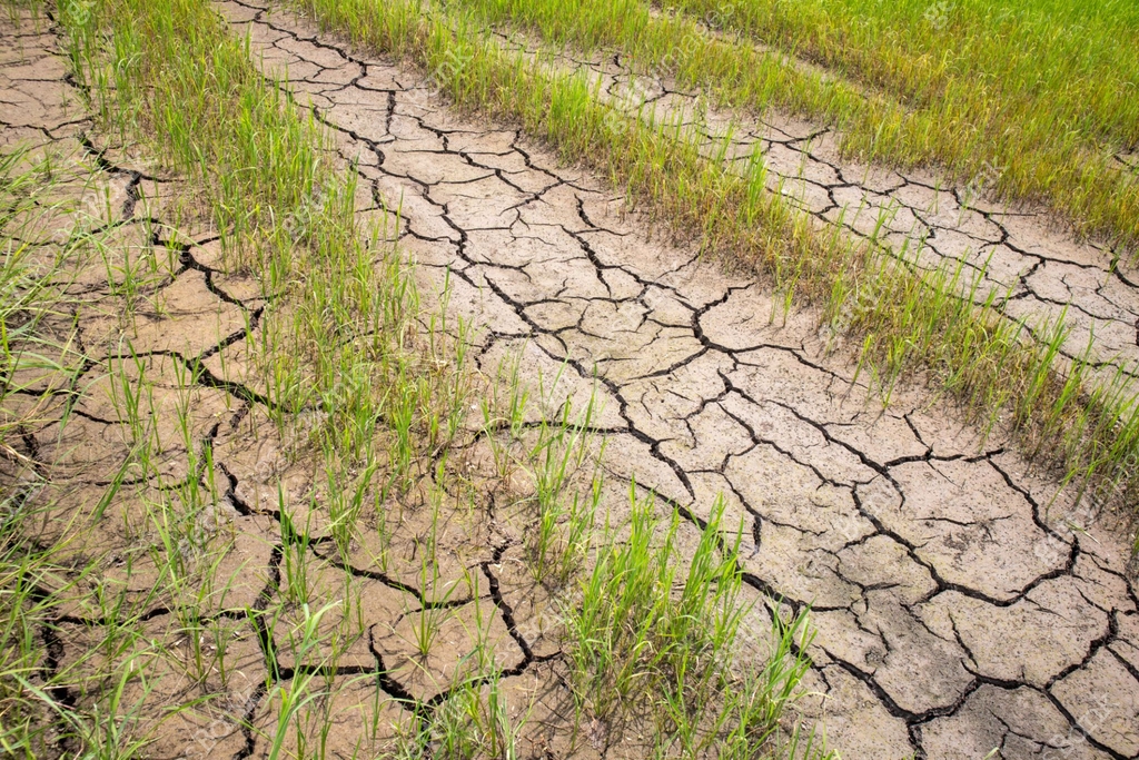 Land Rig Disasters Dry agricultural land conditions, cracked land after natural disasters ...