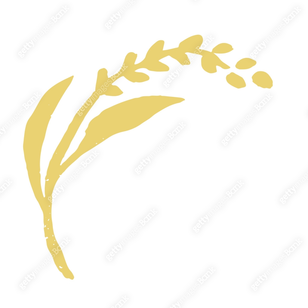 Frame Rice File Png Hand-drawn frame illustration of rice 이미지 (2173247465) 일러스트, 무료 일러스트 ...