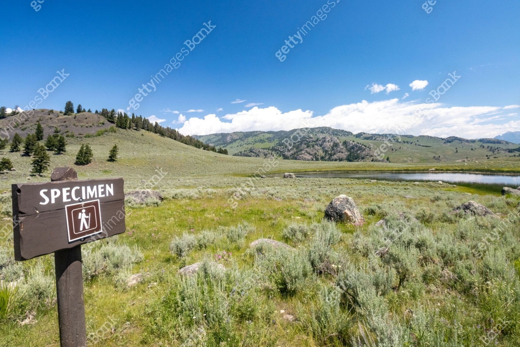 Specimen Ridge Trail Sign near Lamar Valley in Yellowstone National ...