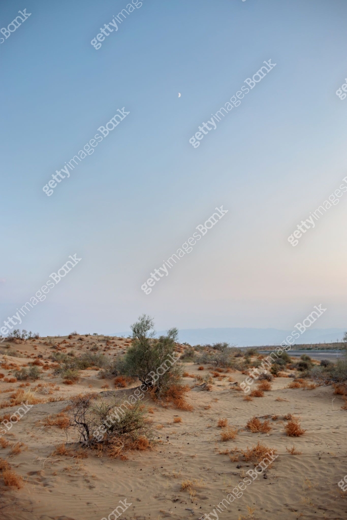 Small Sandy Ridge sandy landscape with a road. with a small sandy vegetation .. evening ...
