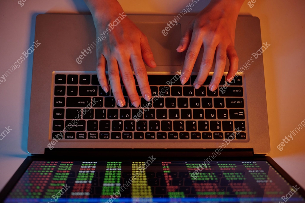 Analyzing Data on Laptop with Code Reflections 이미지 (2182046388) 일러스트 ...