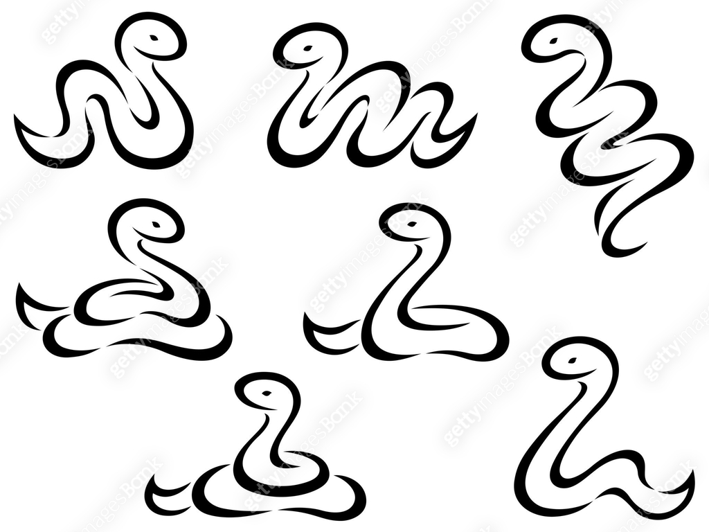 Illustration set of elegant brush line drawing snakes 이미지 (2187386594 ...