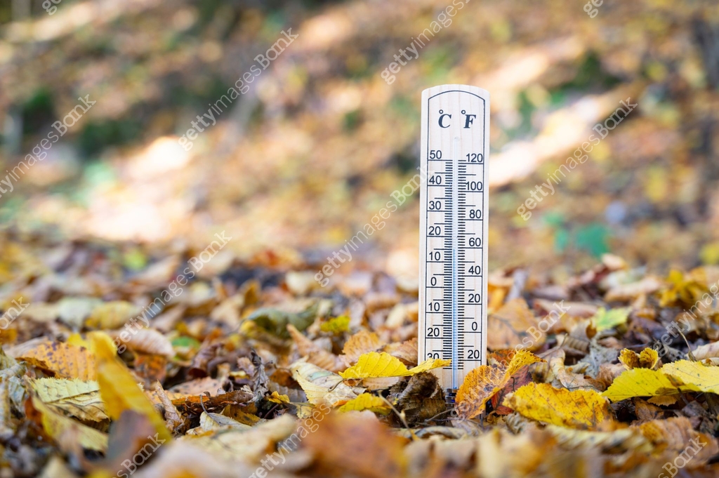 Thermometer with autumn foliage, fall season, measure the temperature ...