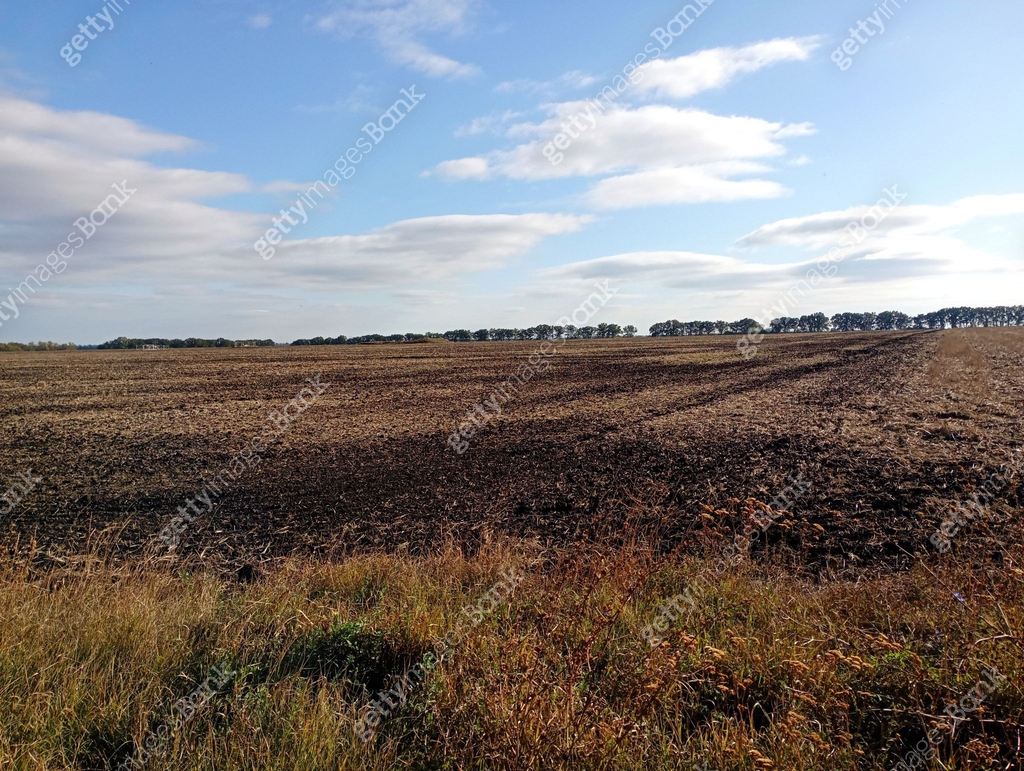 Spacious Field Autumn in the fields. A spacious field with a forest in the distance on ...