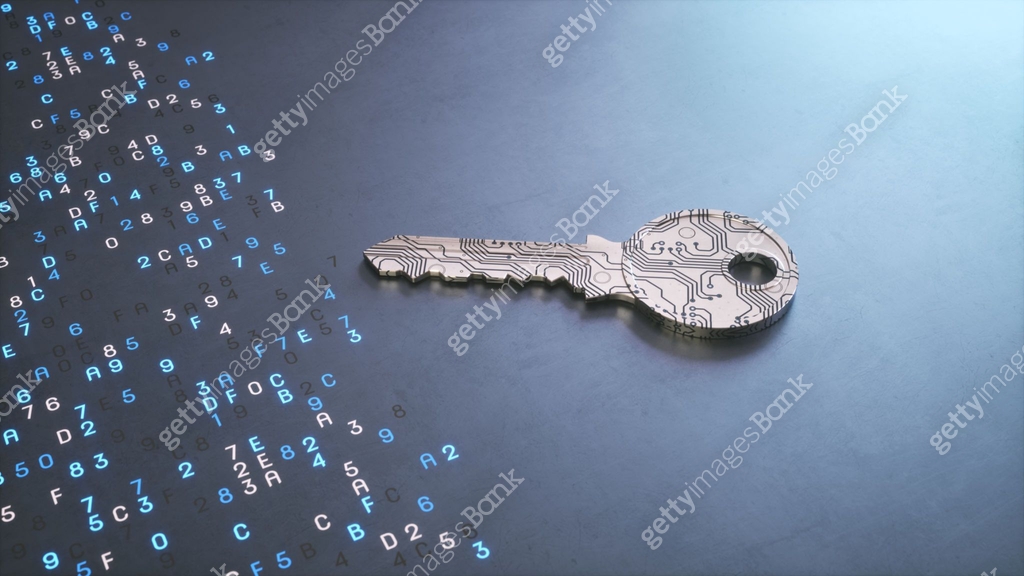 Simple IT security concept with a digital encryption key and binary ...