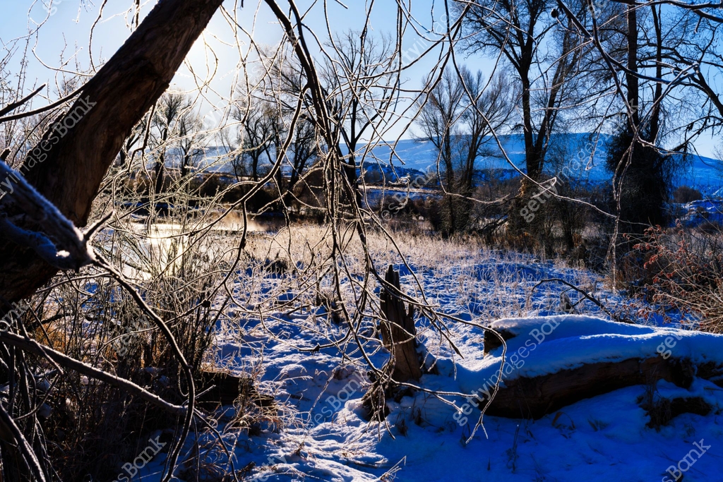 Cold Morning Along River Scenic Sunrise Landscape 이미지 (2187737213) - 게티 ...