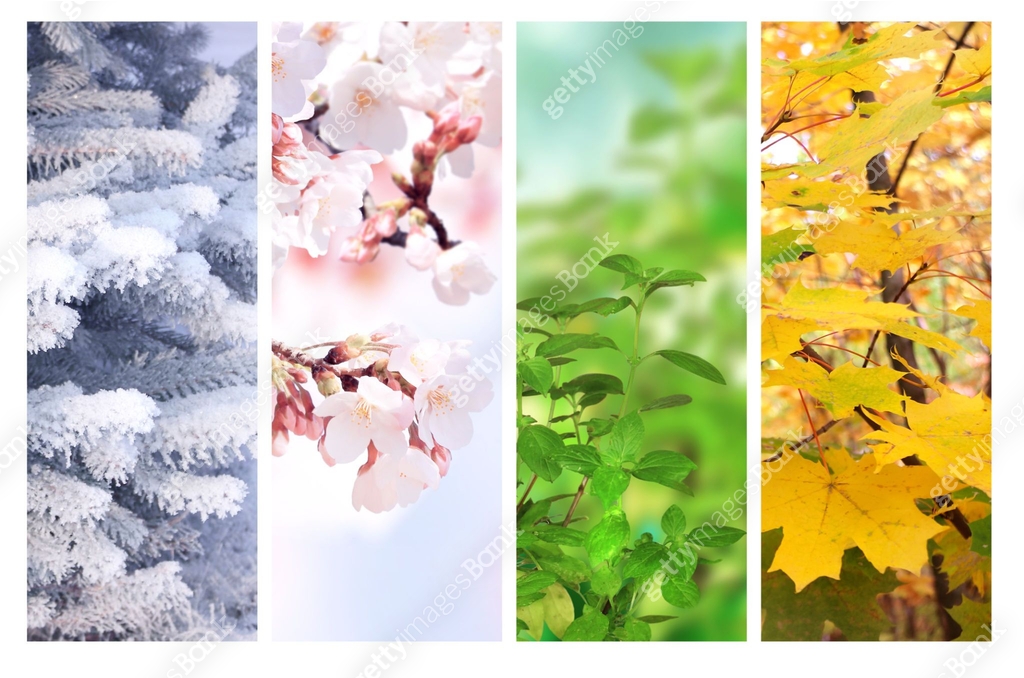 Four seasons of year. Set of vertical nature banners with winter ...