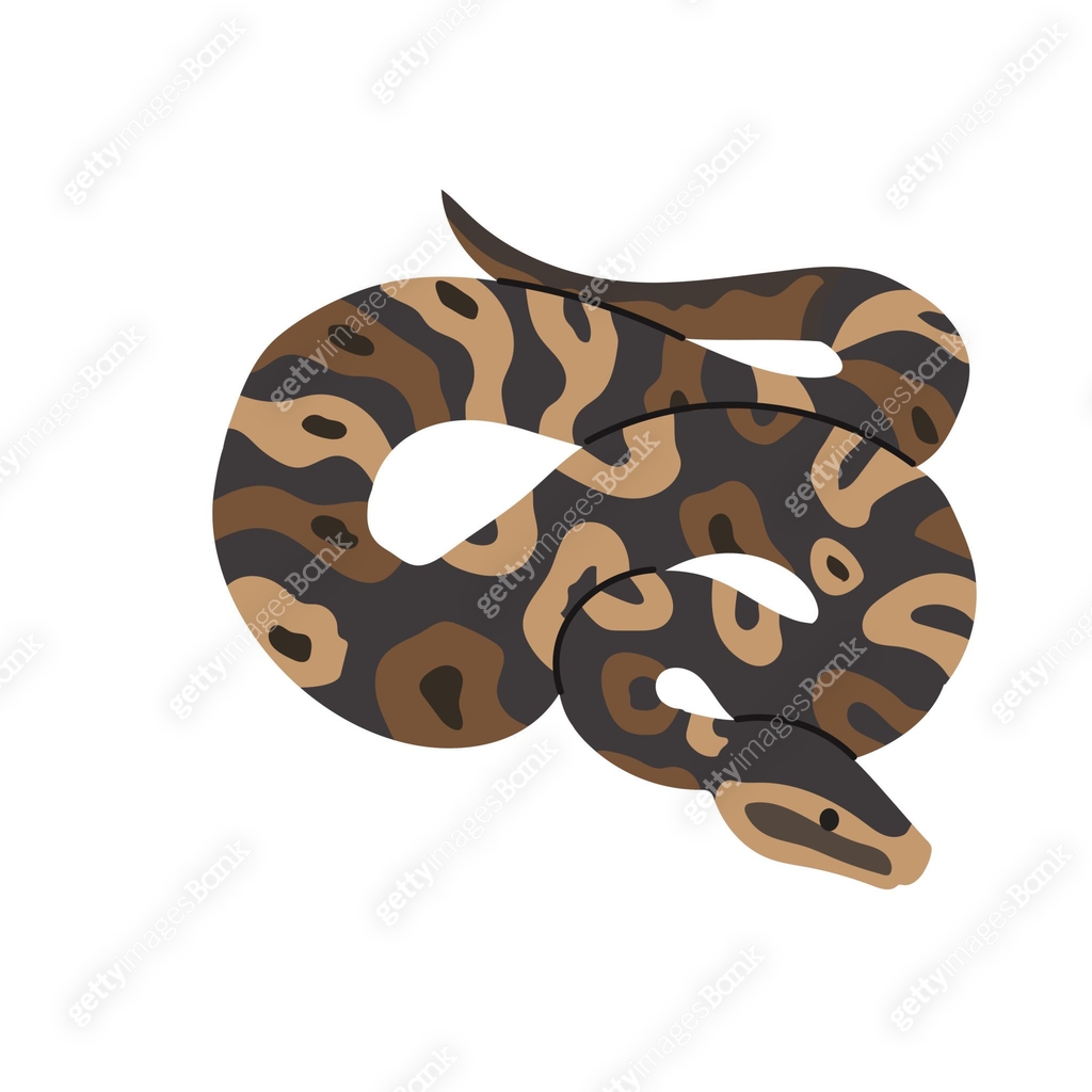 Ball python icon clipart avatar logotype isolated illustration 이미지 ...